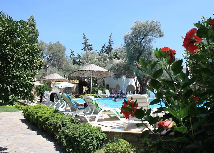 Toloman Bitezpark 3* Бодрум